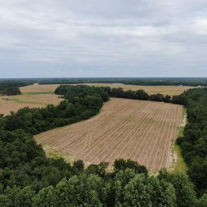 Photo #8 of SOLD property in Off NC HWY 130 W, Rowland, NC 90.0 acres