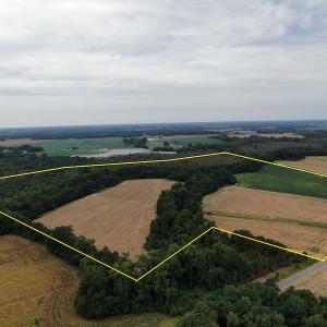 Photo #2 of SOLD property in Off NC HWY 130 W, Rowland, NC 90.0 acres