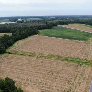 Photo #10 of SOLD property in Off NC HWY 130 W, Rowland, NC 90.0 acres