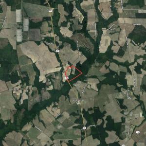 Photo #13 of SOLD property in Off NC HWY 130 W, Rowland, NC 90.0 acres