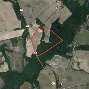 Photo #1 of SOLD property in Off NC HWY 130 W, Rowland, NC 90.0 acres