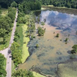 Photo #9 of SOLD property in Off Sunken Meadow Road, Spring Grove, VA 678.6 acres