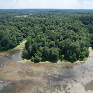 Photo #12 of SOLD property in Off Sunken Meadow Road, Spring Grove, VA 678.6 acres