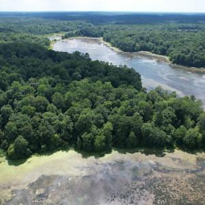 Photo #13 of SOLD property in Off Sunken Meadow Road, Spring Grove, VA 678.6 acres