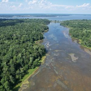 Photo #14 of SOLD property in Off Sunken Meadow Road, Spring Grove, VA 678.6 acres