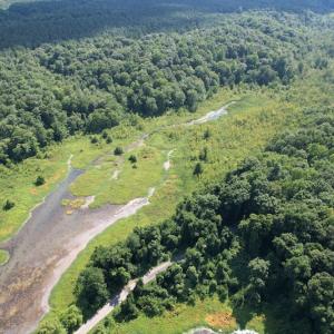 Photo #16 of SOLD property in Off Sunken Meadow Road, Spring Grove, VA 678.6 acres