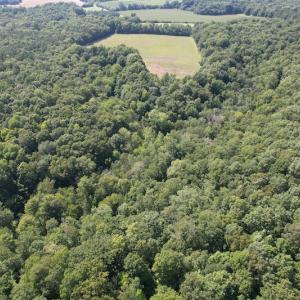 Photo #17 of SOLD property in Off Sunken Meadow Road, Spring Grove, VA 678.6 acres