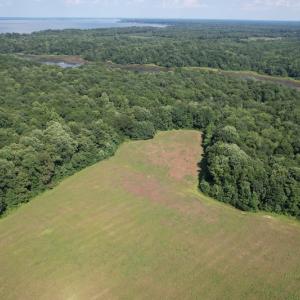 Photo #19 of SOLD property in Off Sunken Meadow Road, Spring Grove, VA 678.6 acres