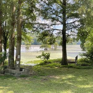 Photo #23 of SOLD property in Off Sunken Meadow Road, Spring Grove, VA 678.6 acres