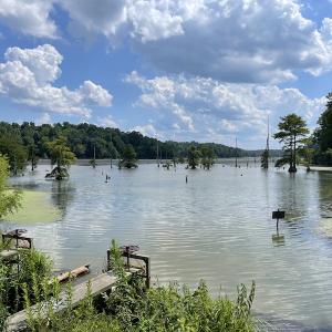 Photo #25 of SOLD property in Off Sunken Meadow Road, Spring Grove, VA 678.6 acres