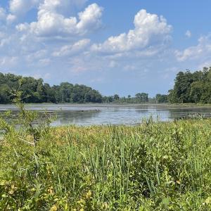 Photo #26 of SOLD property in Off Sunken Meadow Road, Spring Grove, VA 678.6 acres
