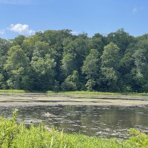 Photo #27 of SOLD property in Off Sunken Meadow Road, Spring Grove, VA 678.6 acres