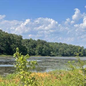 Photo #28 of SOLD property in Off Sunken Meadow Road, Spring Grove, VA 678.6 acres