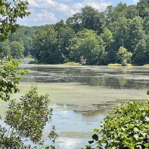 Photo #29 of SOLD property in Off Sunken Meadow Road, Spring Grove, VA 678.6 acres
