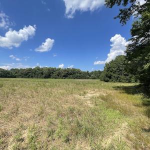 Photo #30 of SOLD property in Off Sunken Meadow Road, Spring Grove, VA 678.6 acres