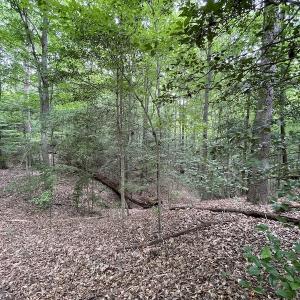 Photo #32 of SOLD property in Off Sunken Meadow Road, Spring Grove, VA 678.6 acres