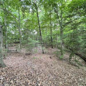 Photo #33 of SOLD property in Off Sunken Meadow Road, Spring Grove, VA 678.6 acres