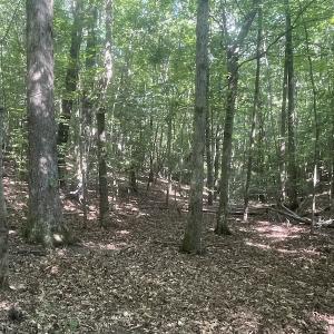 Photo #34 of SOLD property in Off Sunken Meadow Road, Spring Grove, VA 678.6 acres