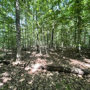 Photo #37 of SOLD property in Off Sunken Meadow Road, Spring Grove, VA 678.6 acres