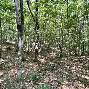 Photo #38 of SOLD property in Off Sunken Meadow Road, Spring Grove, VA 678.6 acres