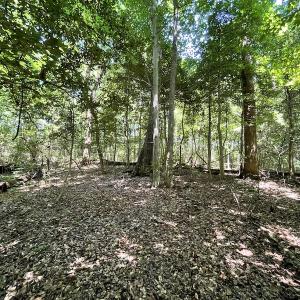 Photo #44 of SOLD property in Off Sunken Meadow Road, Spring Grove, VA 678.6 acres