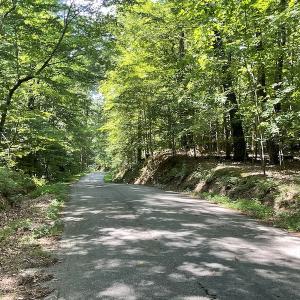 Photo #46 of SOLD property in Off Sunken Meadow Road, Spring Grove, VA 678.6 acres