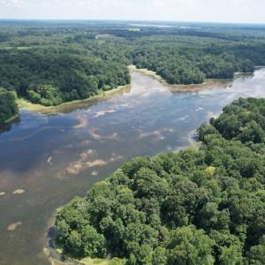 Photo #7 of SOLD property in Off Sunken Meadow Road, Spring Grove, VA 678.6 acres
