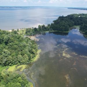 Photo #8 of SOLD property in Off Sunken Meadow Road, Spring Grove, VA 678.6 acres