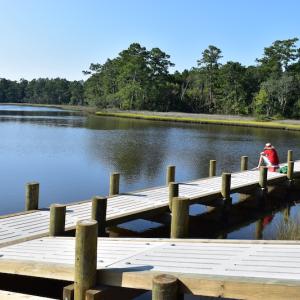 Photo #29 of SOLD property in 154 Peletier Shores Drive, Peletier, NC 0.5 acres
