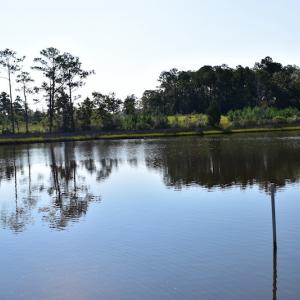 Photo #30 of SOLD property in 154 Peletier Shores Drive, Peletier, NC 0.5 acres