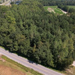 Photo #11 of SOLD property in Off Wilmington Highway, Orrum, NC 4.7 acres
