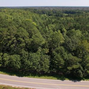 Photo #4 of SOLD property in Off Wilmington Highway, Orrum, NC 4.7 acres