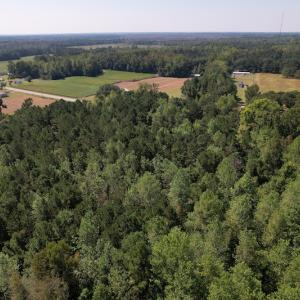 Photo #6 of SOLD property in Off Wilmington Highway, Orrum, NC 4.7 acres