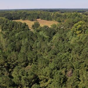 Photo #7 of SOLD property in Off Wilmington Highway, Orrum, NC 4.7 acres