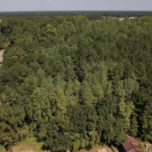 Photo #8 of SOLD property in Off Wilmington Highway, Orrum, NC 4.7 acres