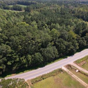 Photo #10 of SOLD property in Off Wilmington Highway, Orrum, NC 4.7 acres