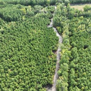 Photo #40 of SOLD property in Off Manning Drive, Valentines, VA 36.0 acres