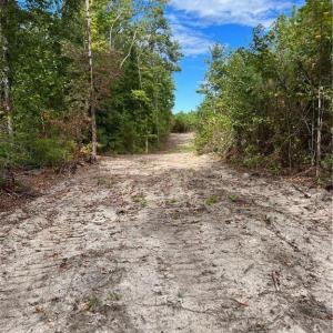 Photo #42 of SOLD property in Off Manning Drive, Valentines, VA 36.0 acres