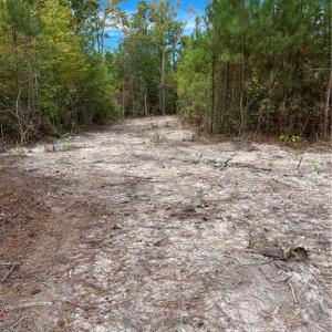 Photo #46 of SOLD property in Off Manning Drive, Valentines, VA 36.0 acres