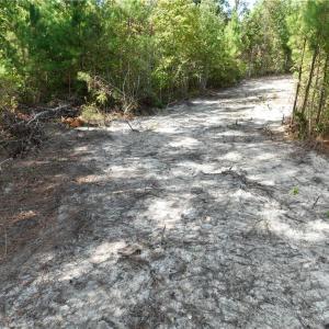 Photo #47 of SOLD property in Off Manning Drive, Valentines, VA 36.0 acres
