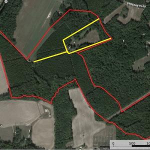 Photo #1 of 30075 Meherrin Road, Boykins, VA 116.0 acres