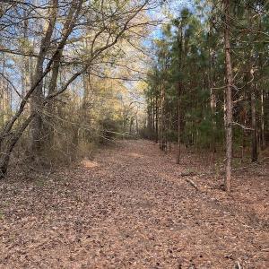 Photo #31 of 30075 Meherrin Road, Boykins, VA 116.0 acres
