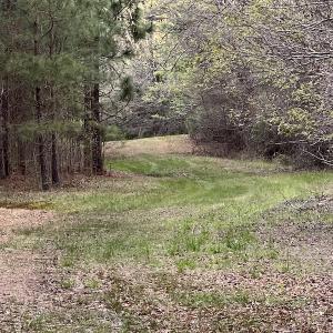 Photo #35 of 30075 Meherrin Road, Boykins, VA 116.0 acres
