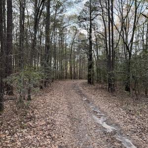 Photo #37 of 30075 Meherrin Road, Boykins, VA 116.0 acres