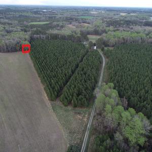 Photo #2 of 30075 Meherrin Road, Boykins, VA 116.0 acres