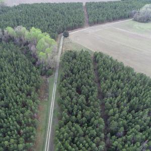 Photo #3 of 30075 Meherrin Road, Boykins, VA 116.0 acres