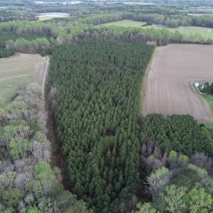 Photo #4 of 30075 Meherrin Road, Boykins, VA 116.0 acres