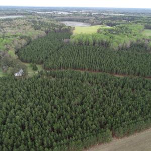 Photo #5 of 30075 Meherrin Road, Boykins, VA 116.0 acres