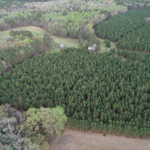 Photo #6 of 30075 Meherrin Road, Boykins, VA 116.0 acres