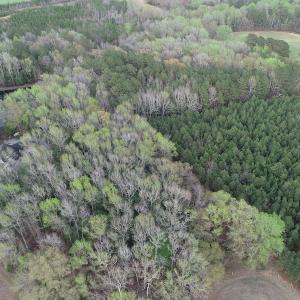 Photo #7 of 30075 Meherrin Road, Boykins, VA 116.0 acres